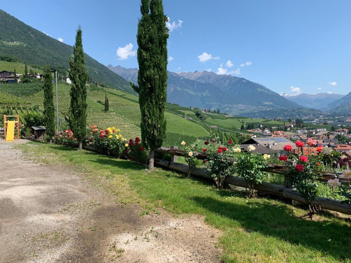 Weingut Bachguetl Apartment Cermes Luaran gambar